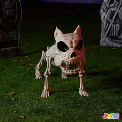 16" Halloween Poseable Puppy Skeleton with Pose-N-Stay Plastic Dog Bones