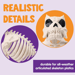 16" Halloween Poseable Puppy Skeleton with Pose-N-Stay Plastic Dog Bones