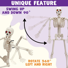24-Inch Halloween Skeleton Full Body Human Plastic Bones