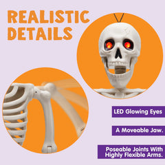 24-Inch Halloween Skeleton Full Body Human Plastic Bones