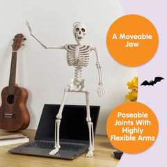 24-Inch Halloween Skeleton Full Body Human Plastic Bones