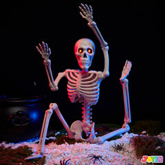 24-Inch Halloween Skeleton Full Body Human Plastic Bones