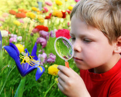 28Pcs Insect Sets with Valentines Day Cards for Kids-Classroom Exchange Gifts