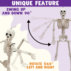 2 PCS 24in Halloween Full Body Posable Skeletons Human Plastic Bones with Movable Joints