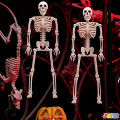 2 PCS 24in Halloween Full Body Posable Skeletons Human Plastic Bones with Movable Joints