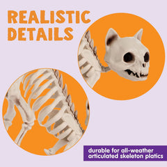 2 PCS Skeleton Cat Halloween Decorations Set - Animal Courtyard Decoration