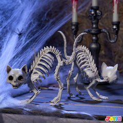 2 PCS Skeleton Cat Halloween Decorations Set - Animal Courtyard Decoration