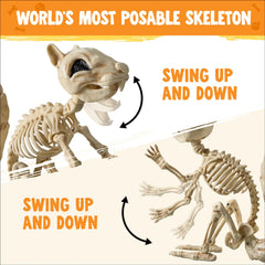 9.1-Inch Squirrel Skeleton Halloween Decoration