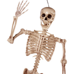 5.6ft Halloween Life-Size Posable Skeleton with Realistic Bones and Movable Joints