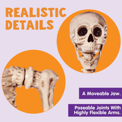 5.6ft Halloween Life-Size Posable Skeleton with Realistic Bones and Movable Joints