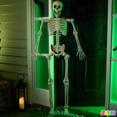 5.6ft Halloween Life-Size Posable Skeleton with Realistic Bones and Movable Joints