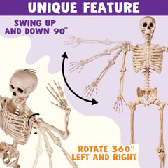 5.6ft Halloween Life-Size Posable Skeleton with Realistic Bones and Movable Joints
