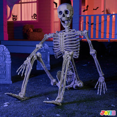5.6ft Halloween Life-Size Posable Skeleton with Realistic Bones and Movable Joints