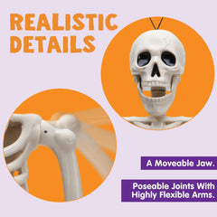 12 PCS 16" Halloween Skeleton Decor