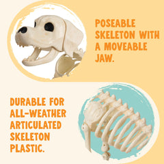 34" Halloween Golden Retriever Skeleton Dog