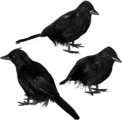 6-Pack Halloween Crow Decoration Set