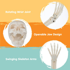 3-Piece Halloween Skeleton Decorations for Outdoor Use