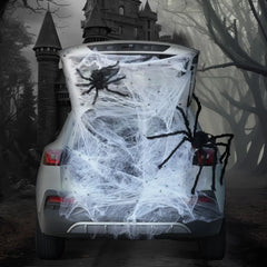 Spider Web Trunk or Treat Car Decorations Kit