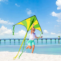 3-Pack Big Delta Kite Set (Green, Blue & Rainbow) with 262.5ft Kite String