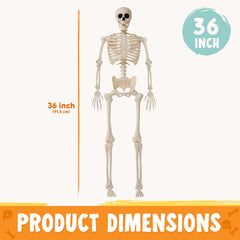 36-Inch Halloween Skeleton Decoration