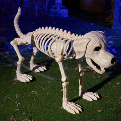 34" Halloween Golden Retriever Skeleton Dog