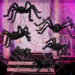 6-Pack Halloween Black Spider Set