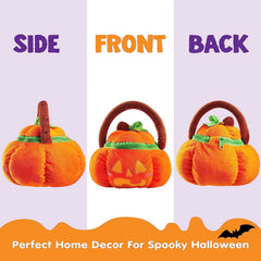 Satiated Plush Pumpkin Baby Basket