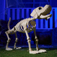 34" Halloween Golden Retriever Skeleton Dog