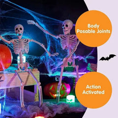 2 PCS 16-Inch Halloween Skeletons with Full Body Posable Joints