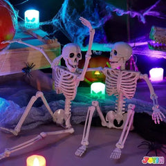 2 PCS 16-Inch Halloween Skeletons with Full Body Posable Joints