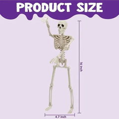 2 PCS 16-Inch Halloween Skeletons with Full Body Posable Joints