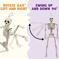 JOIN 3-Pack 16-Inch Halloween Hanging Skeletons with Movable Joints
