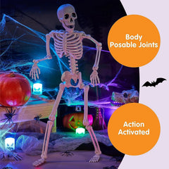 JOIN 3-Pack 16-Inch Halloween Hanging Skeletons with Movable Joints