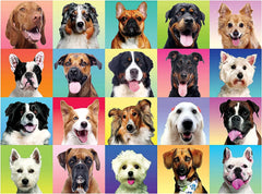 Multicolor Dogs Jigsaw Puzzle, 300 Pieces