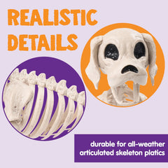 Posable Halloween Dog Skeleton with Full Body Joints - Skeleton Puppy