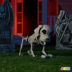 Posable Halloween Dog Skeleton with Full Body Joints - Skeleton Puppy