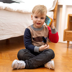 Smartphone and Remote Control Toys