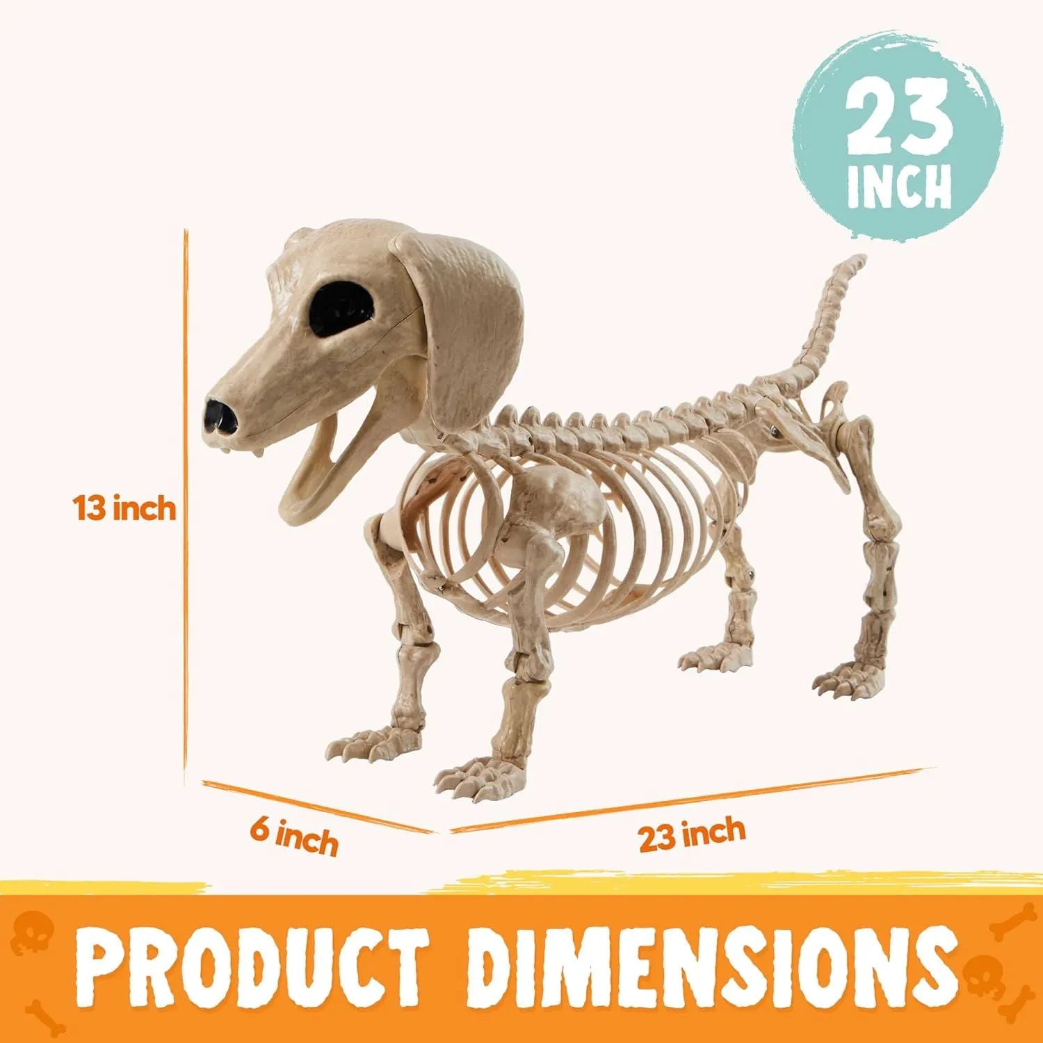 24-Inch Posable Joints Halloween Wiener Dog Skeleton