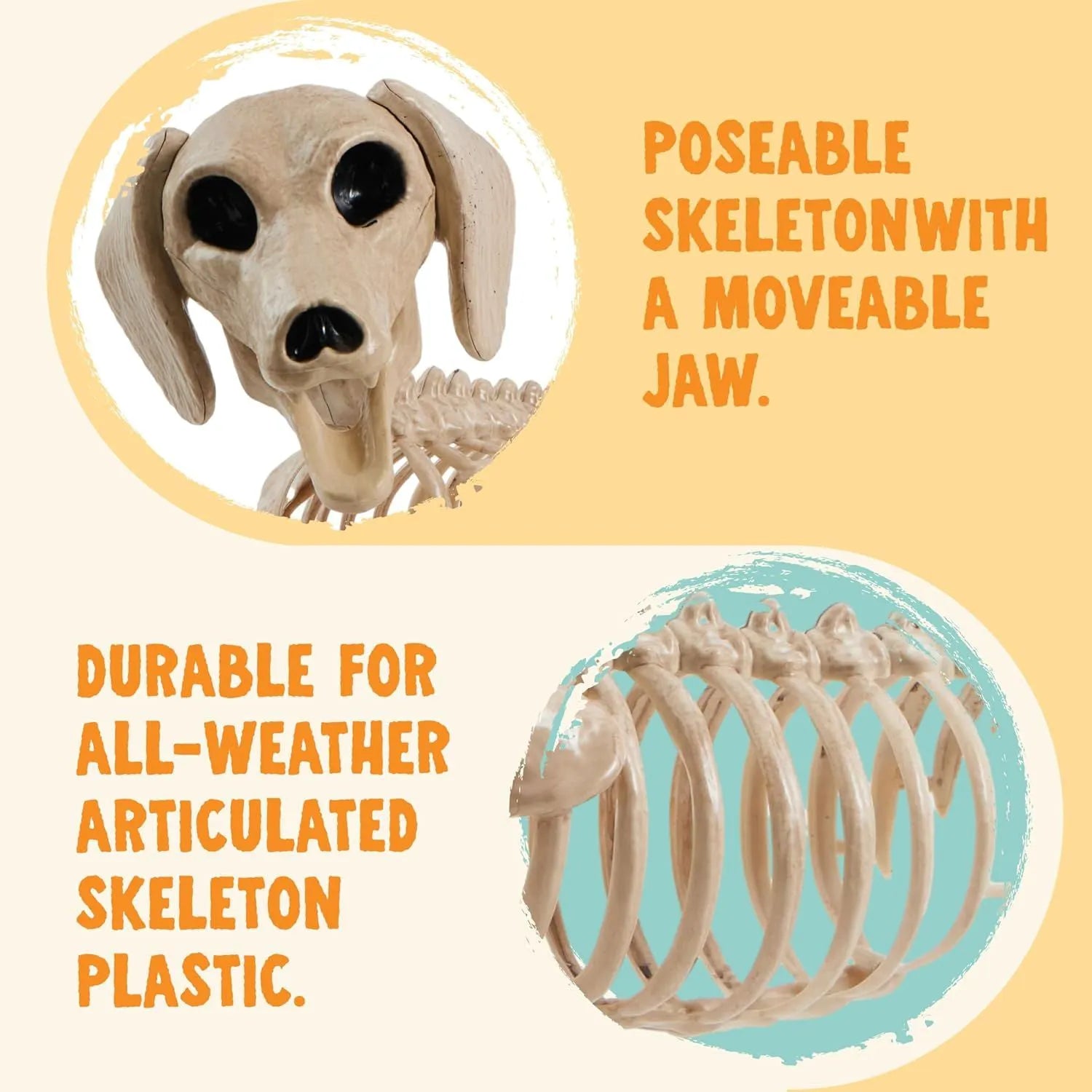 24-Inch Posable Joints Halloween Wiener Dog Skeleton