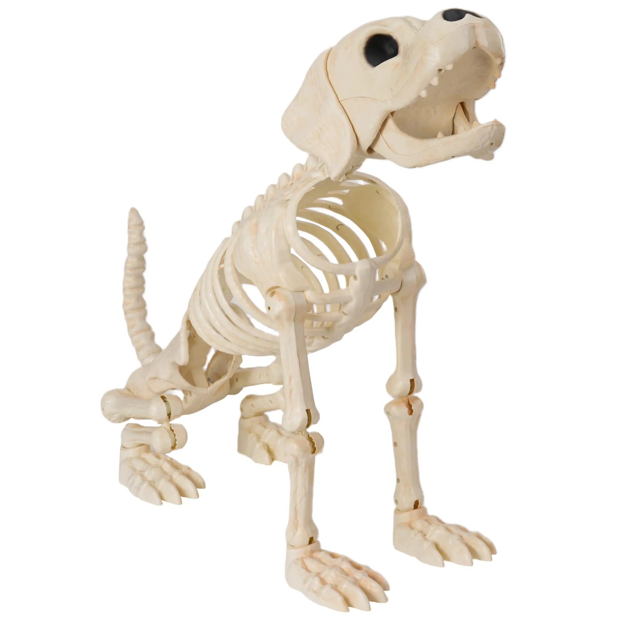34" Halloween Golden Retriever Skeleton Dog