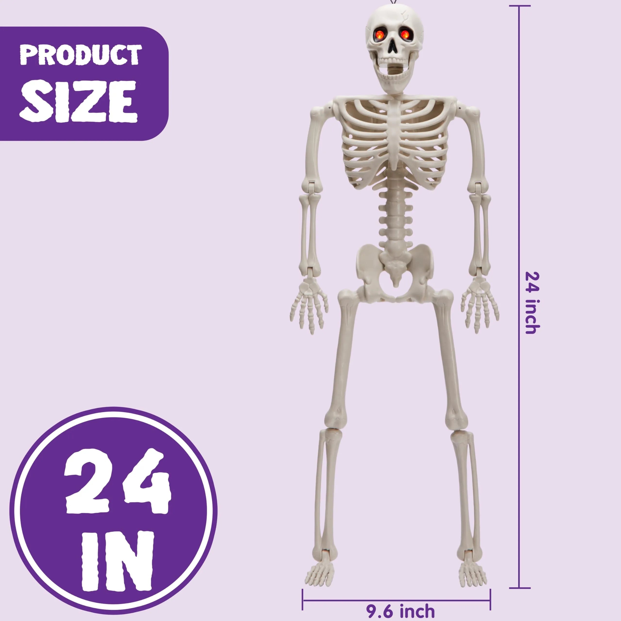 24-Inch Halloween Skeleton Full Body Human Plastic Bones