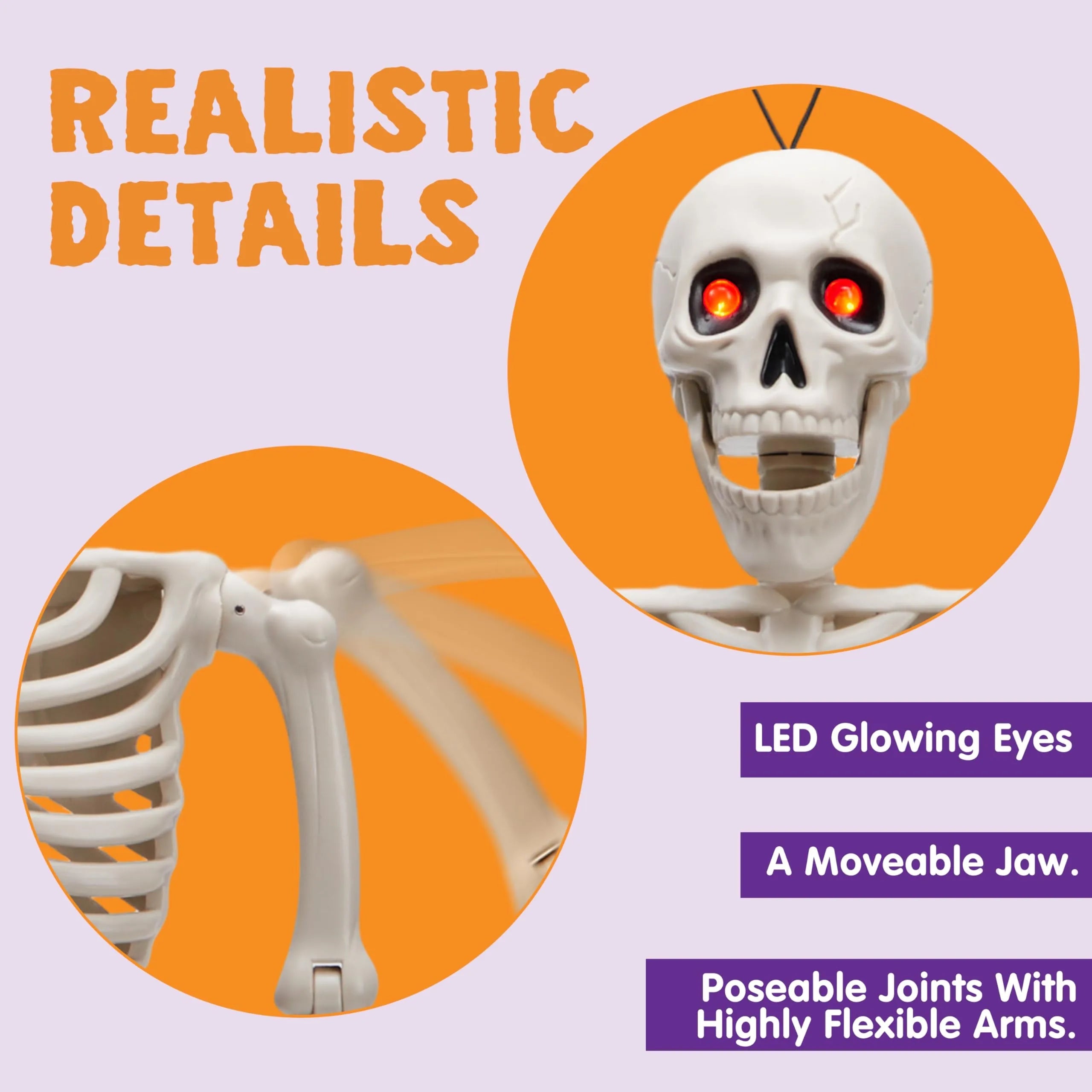 24-Inch Halloween Skeleton Full Body Human Plastic Bones