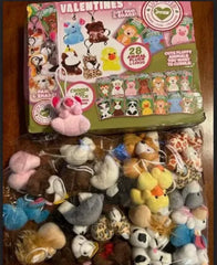 28 Animal Plushies with Valentine's Cards for Classroom Gift Exchange