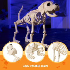 34" Halloween Golden Retriever Skeleton Dog
