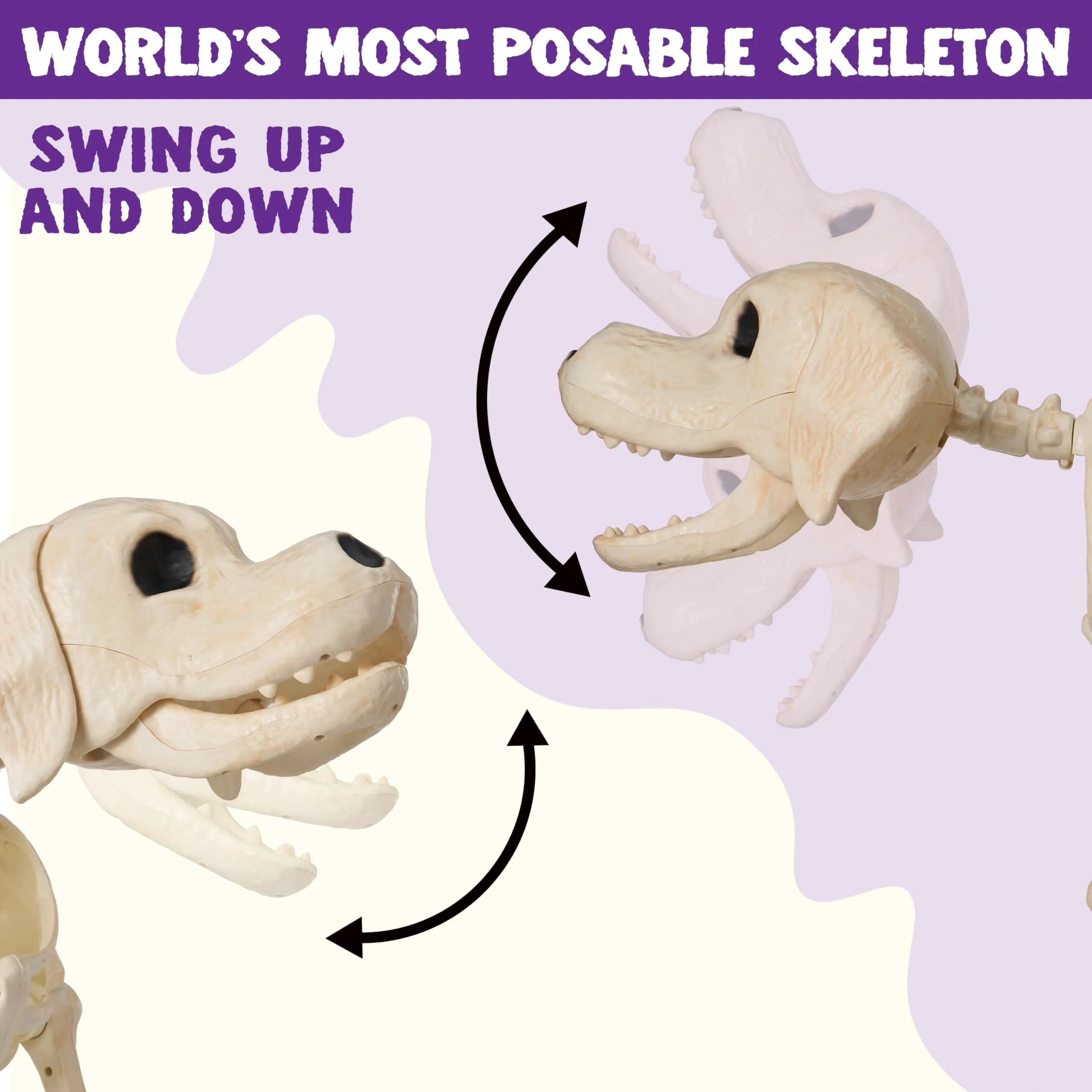 34" Halloween Golden Retriever Skeleton Dog