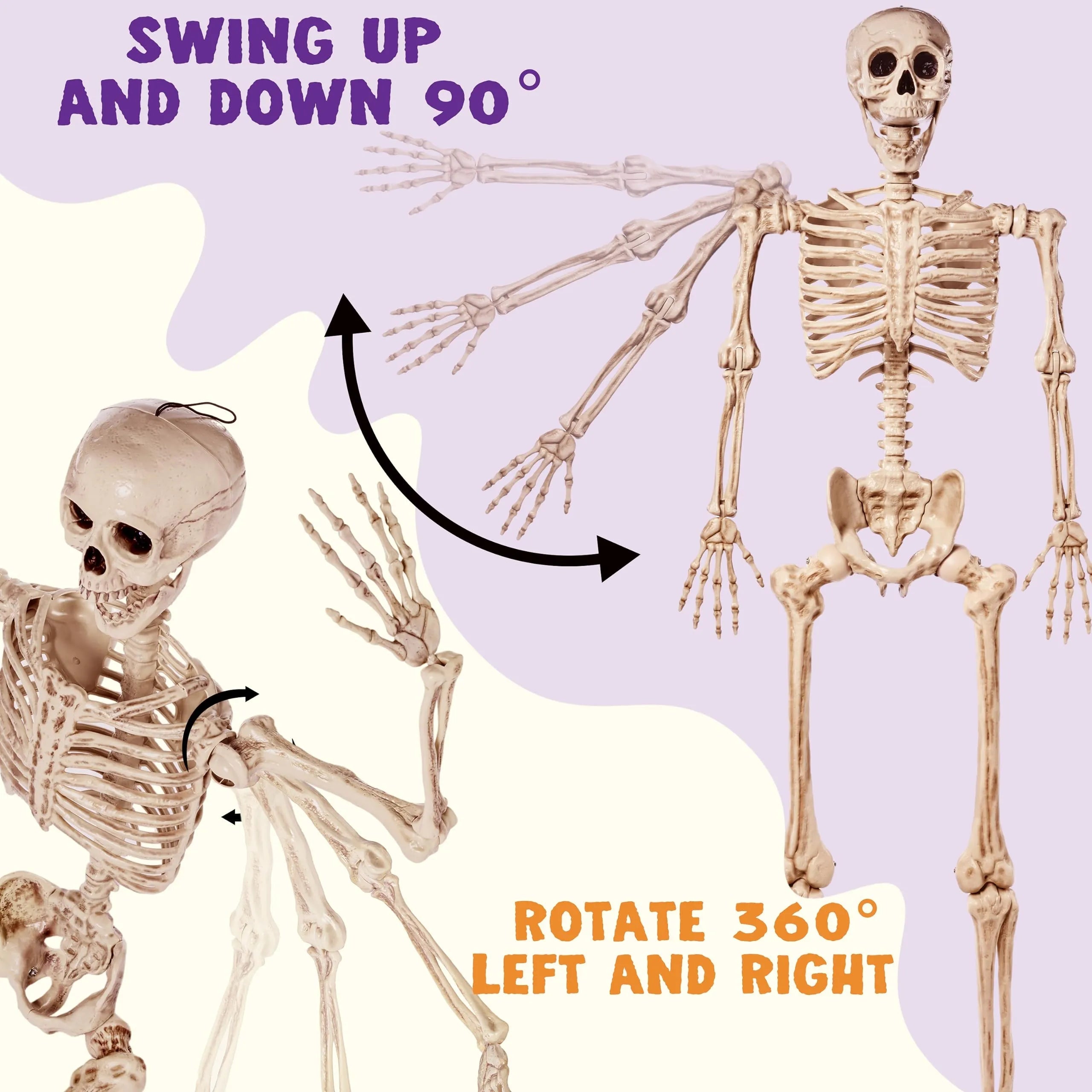 5.6 ft Life Size Full Body Skeleton with Realistic Bones and Posable Joints