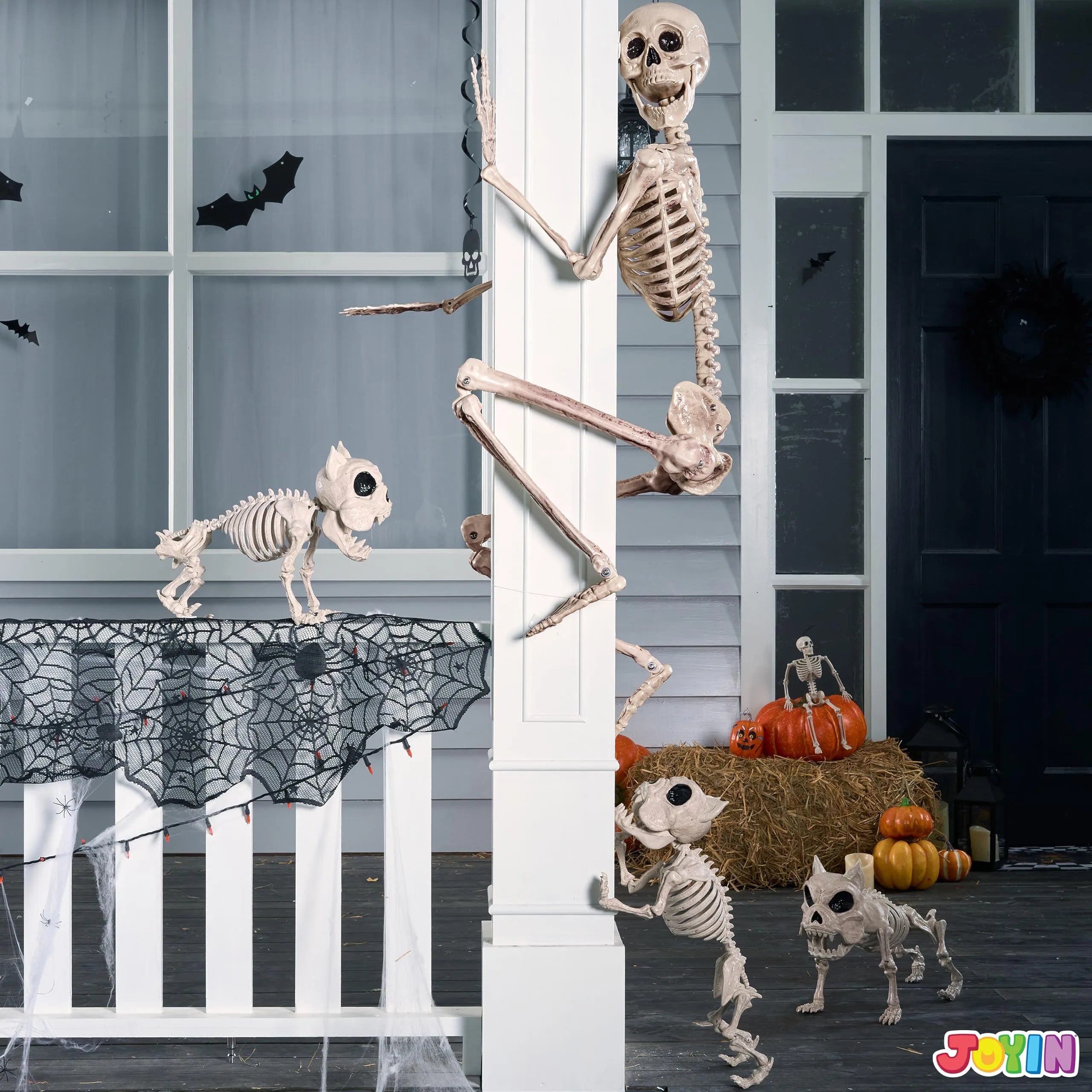 5.6 ft Life Size Full Body Skeleton with Realistic Bones and Posable Joints