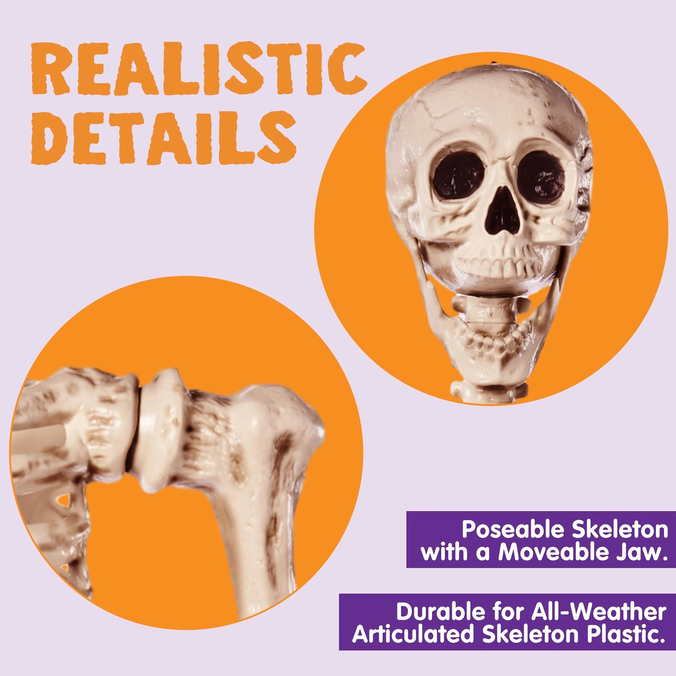 5.6 ft Life Size Full Body Skeleton with Realistic Bones and Posable Joints