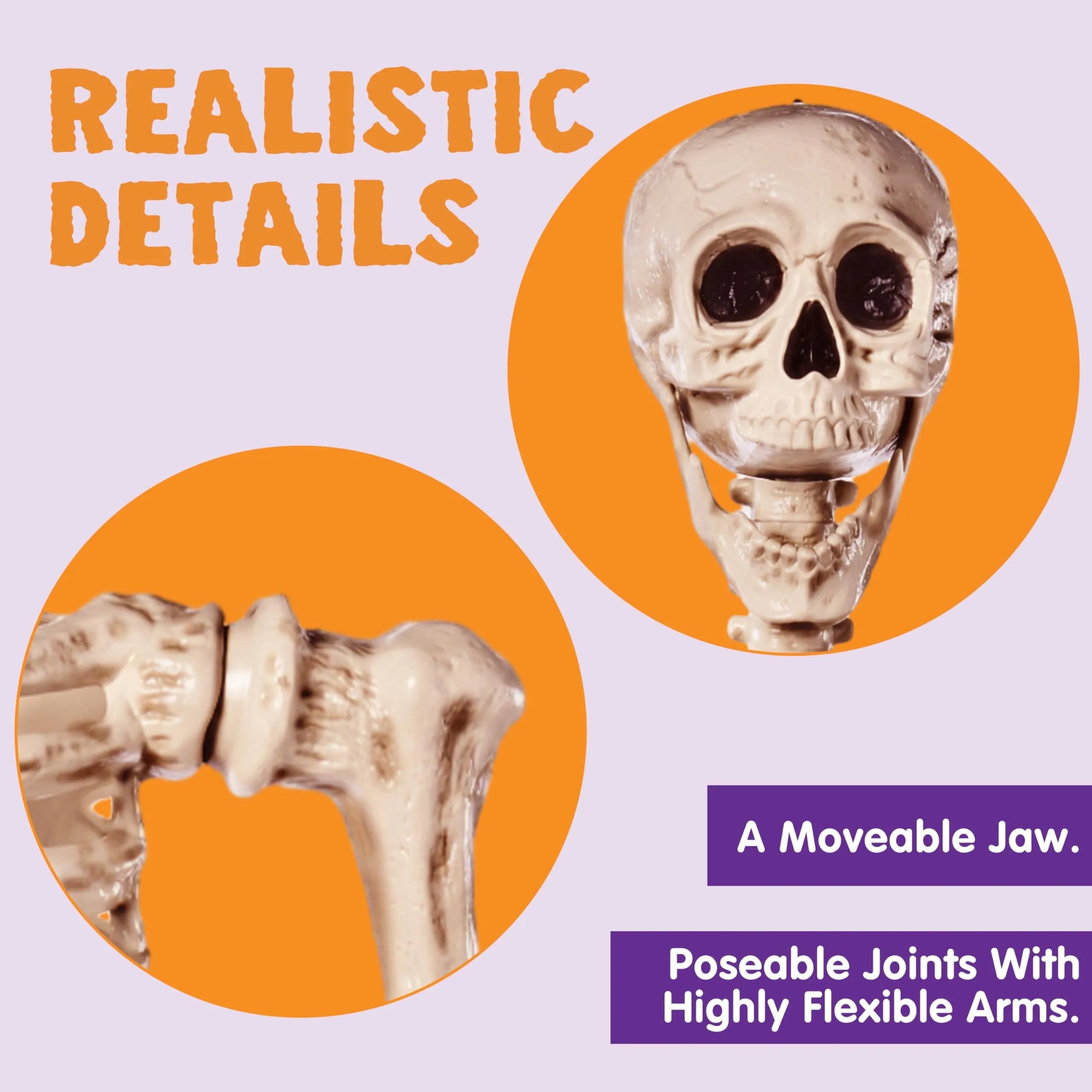 5.6ft Halloween Life-Size Posable Skeleton with Realistic Bones and Movable Joints