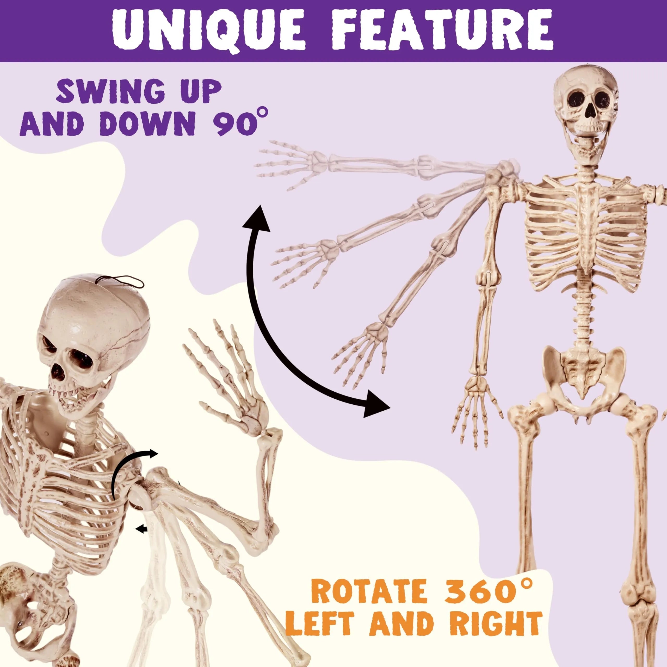 5.6ft Halloween Life-Size Posable Skeleton with Realistic Bones and Movable Joints